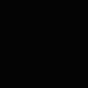 Meet your Posher, Ray